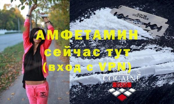 индика Алексеевка