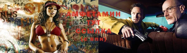 стаф Нефтегорск